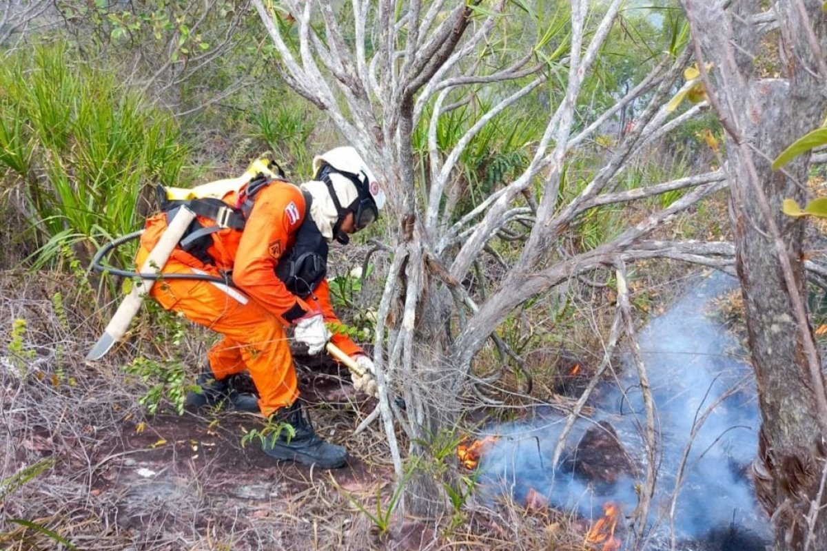 Casos de poluição e incêndios florestais crescem na Bahia, aponta relatório