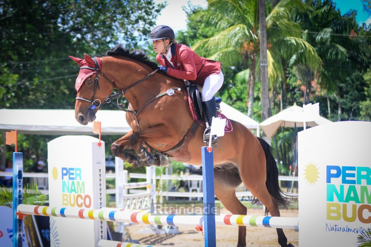Saiba como é feito o treinamento de um cavalo atleta de alta performance! 