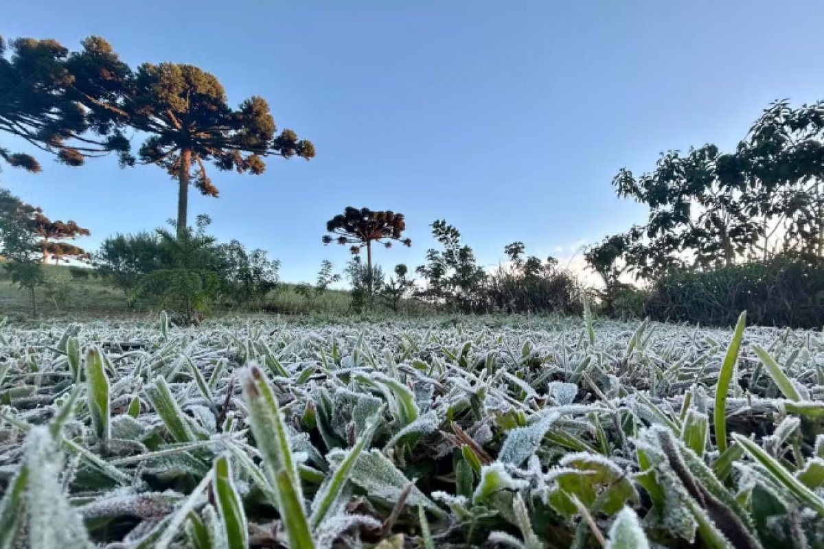 Inverno começa na sexta-feira com previsão de chuvas e temperaturas dentro da média histórica