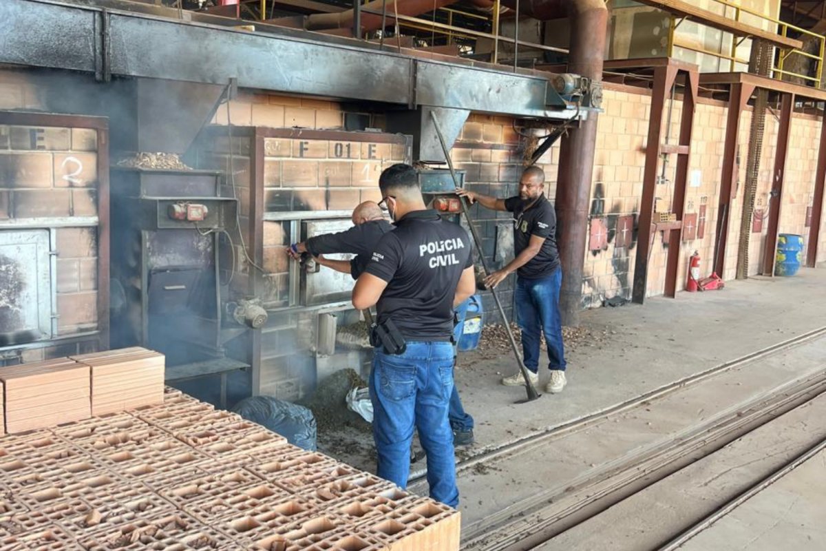 Polícia Civil incinera mais de uma tonelada de drogas em Porto Seguro e Juazeiro