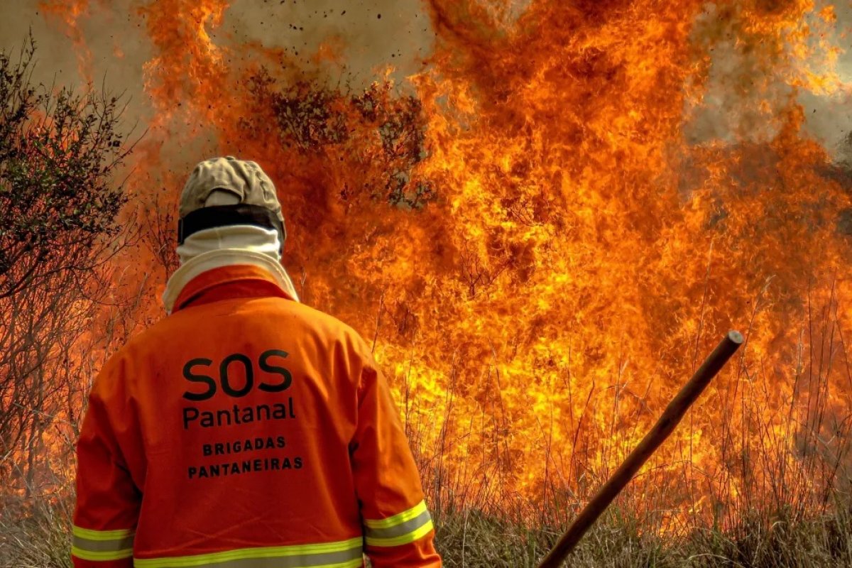 SOS Pantanal: bioma é o mais atingido por incêndios em 40 anos