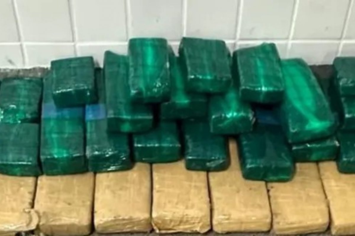 PM apreende cerca de 50 kg de maconha em Feira de Santana