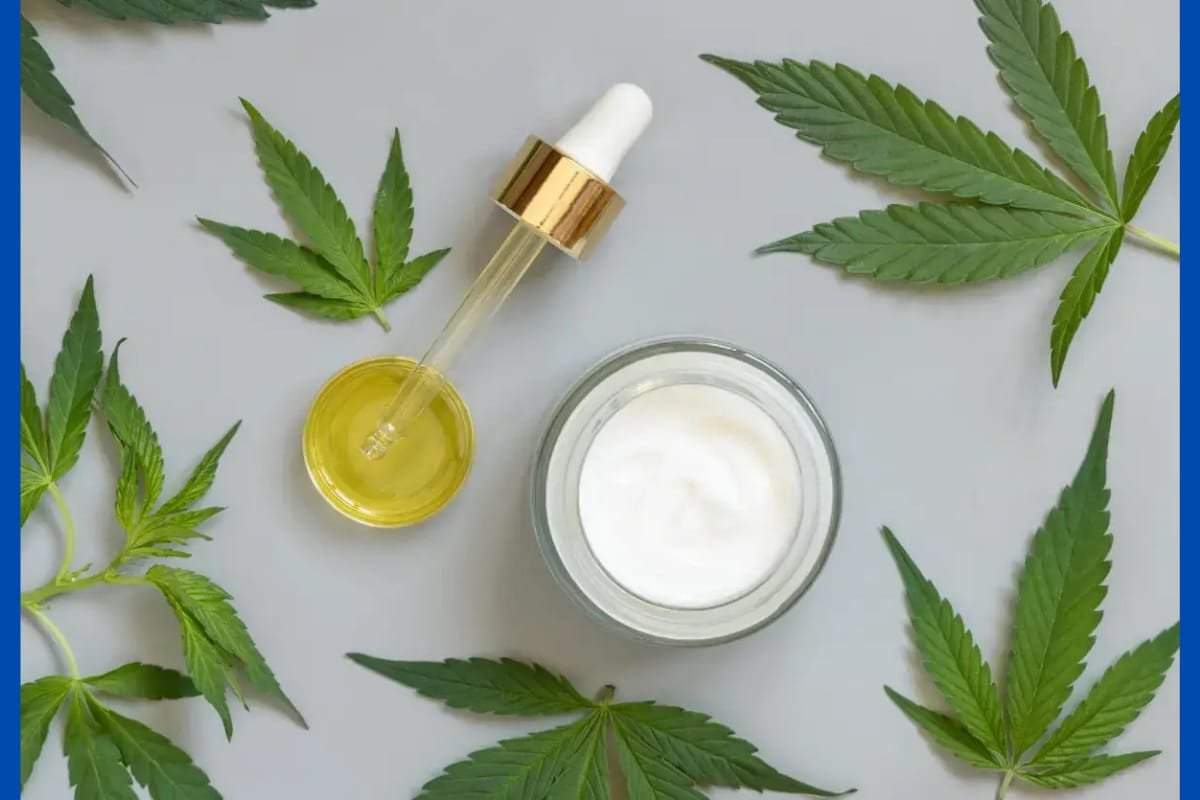 Alba promulga lei que garante fornecimento gratuito de medicamentos à base de cannabis na Bahia