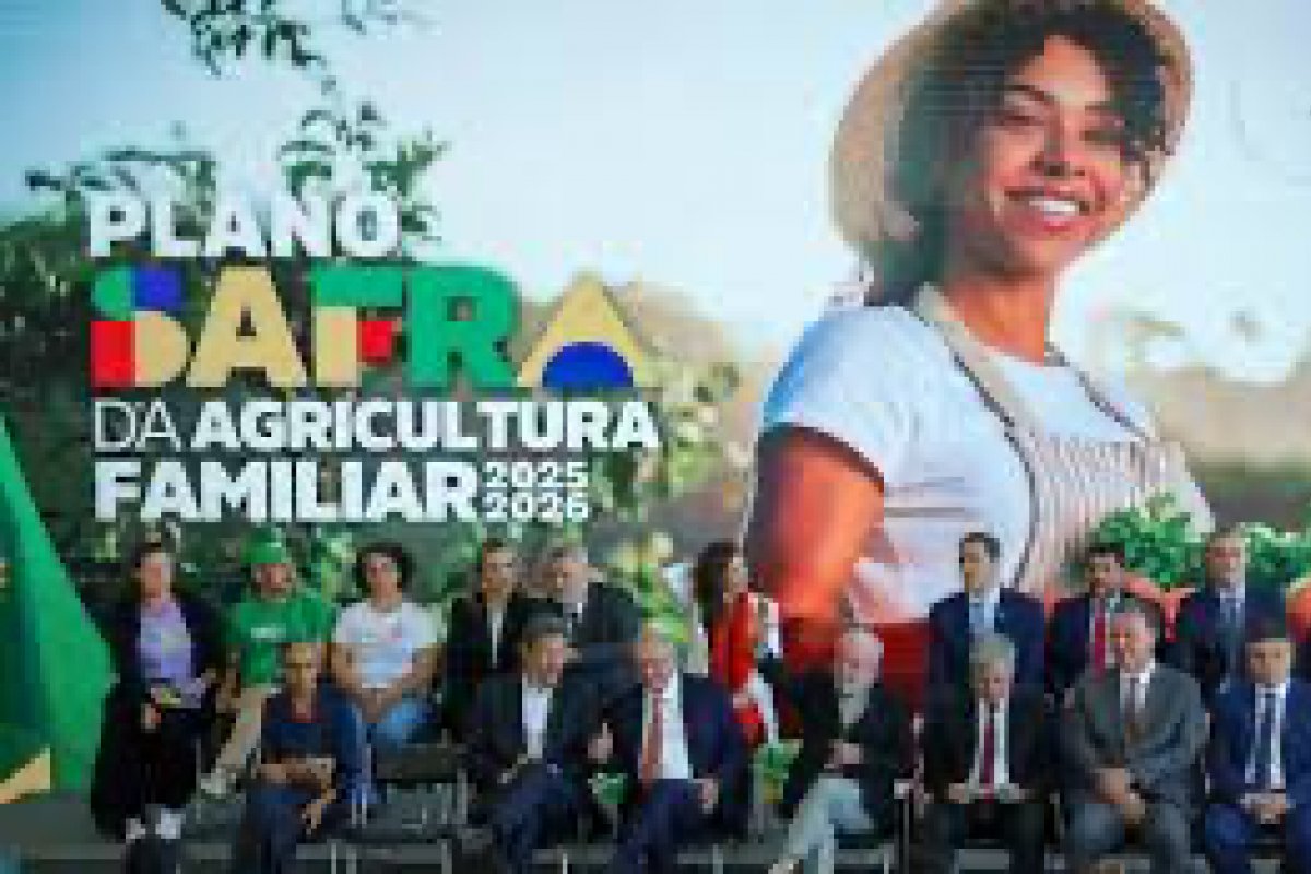 Plano Safra 25/26 prevê R$ 89 bilhões para agricultura familiar