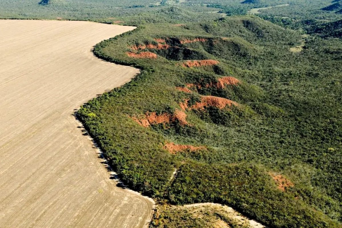 Lei do licenciamento ambiental deve ser votada em duas semanas, diz relator