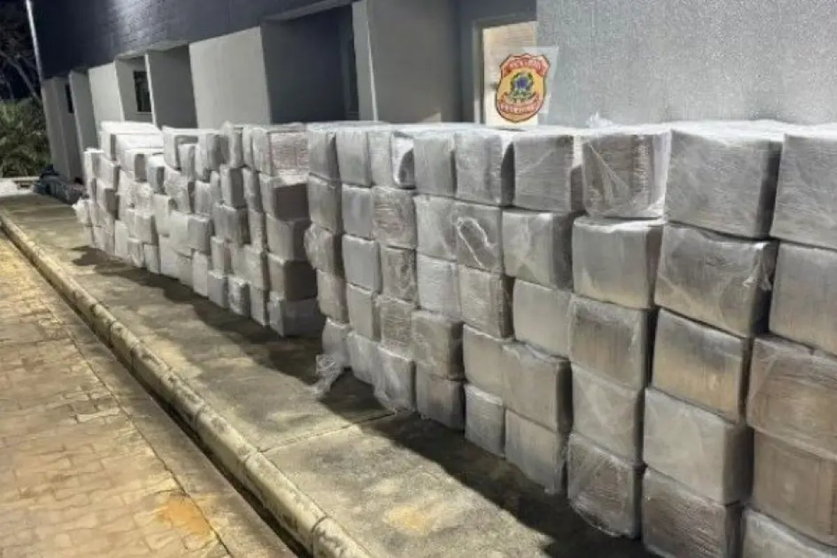 PF realiza operação contra quadrilha que usava transportadora para tráfico de drogas