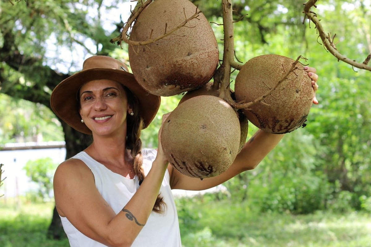 Fazenda em Mata de São João aposta em produção de cogumelos, turismo rural e gastronômico! 