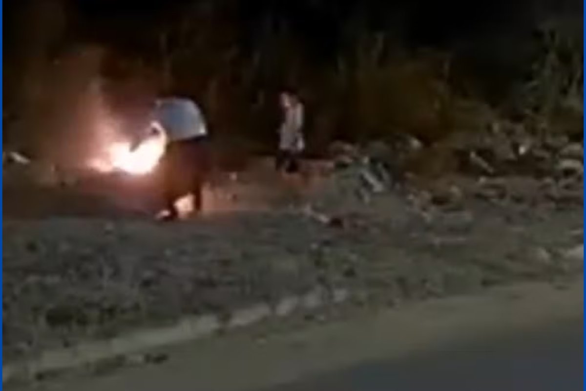 Vídeo: homem coloca fogo em sofá e chamas atingem vegetação no oeste da Bahia