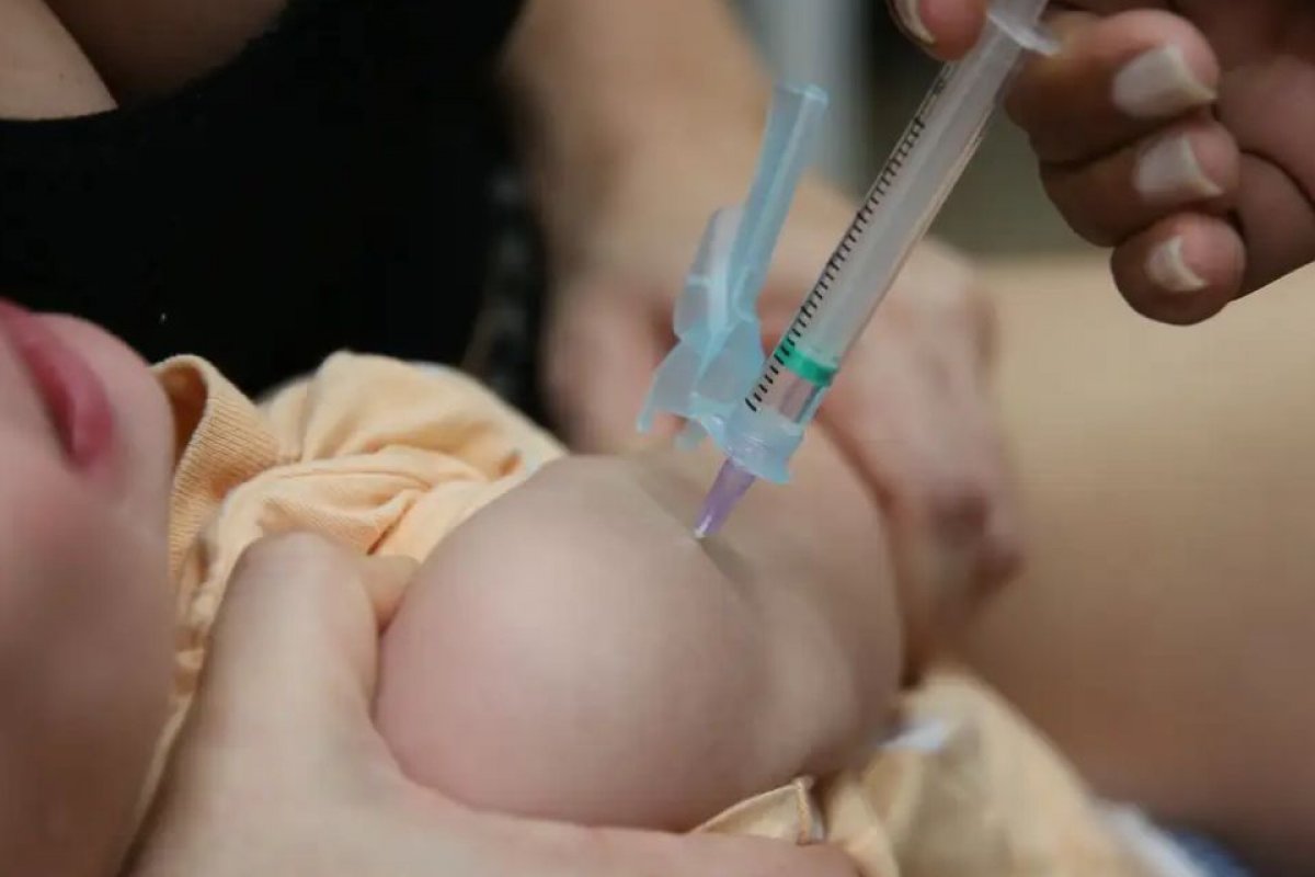 Onze bebês recebem antídoto para picada de cobra em vez de vacina em hospital de SC