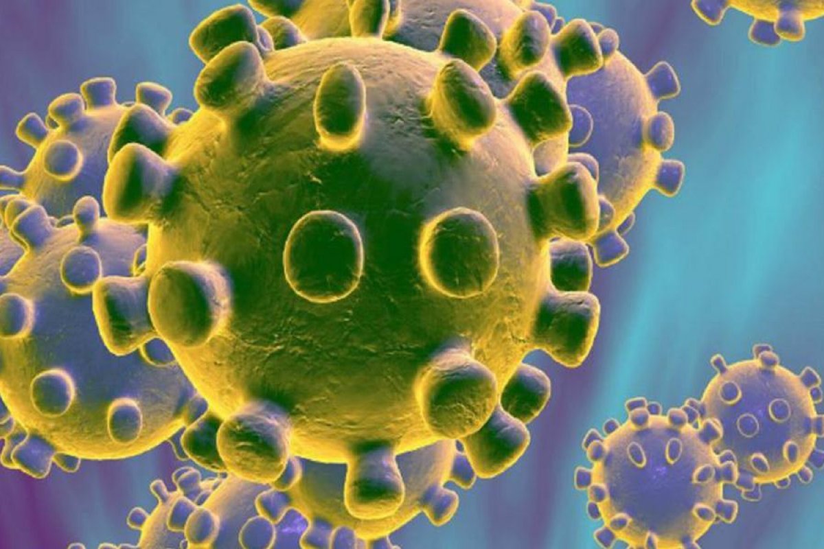 Laboratórios particulares oferecem teste para detectar coronavírus