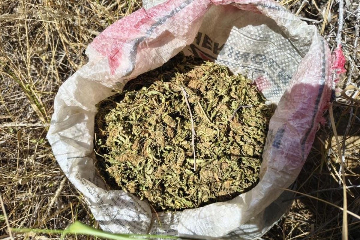 PM apreende 2kg de maconha em Curaçá