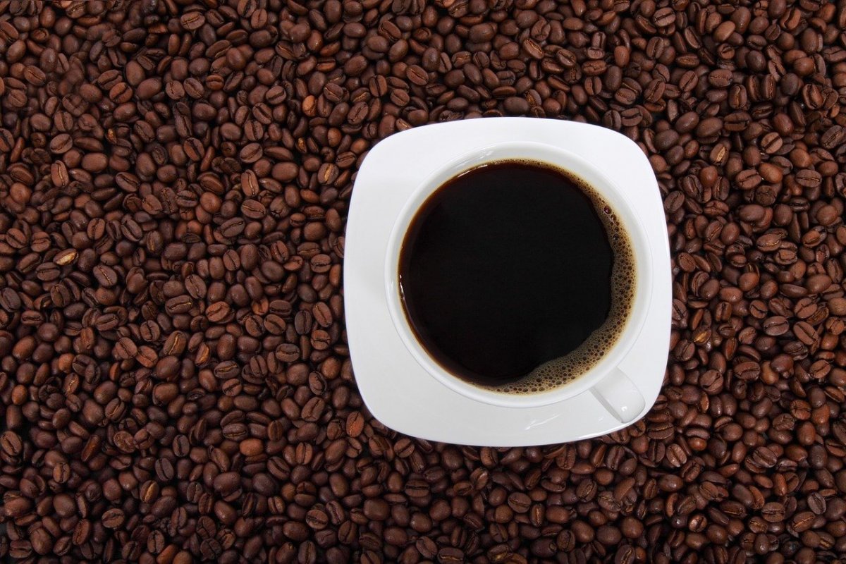 Preço do café registra primeira queda após 16 meses de alta