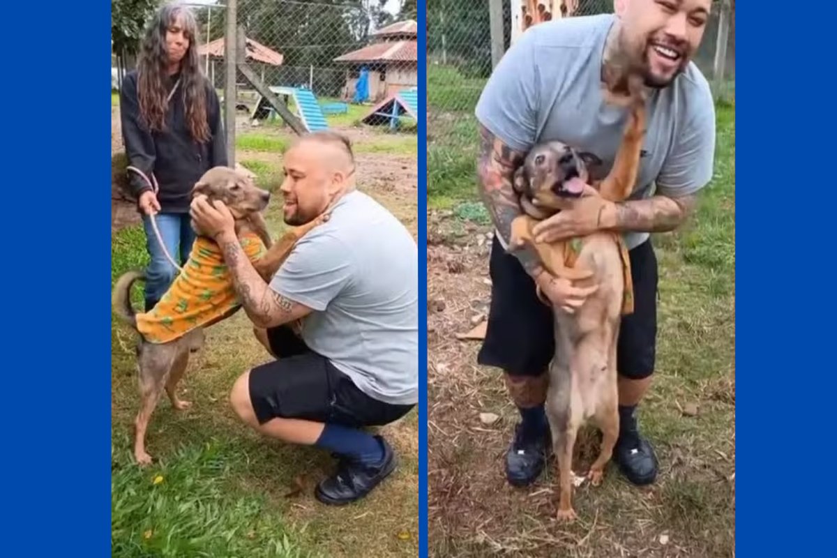 Vídeo: após mais de um ano separados pela enchente no RS, cão e tutor se reencontram
