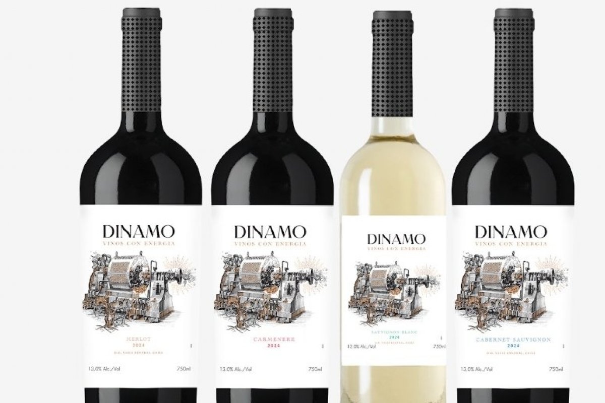 Grupo Wine lança Dínamo Wines, marca autoral de vinhos chilenos!