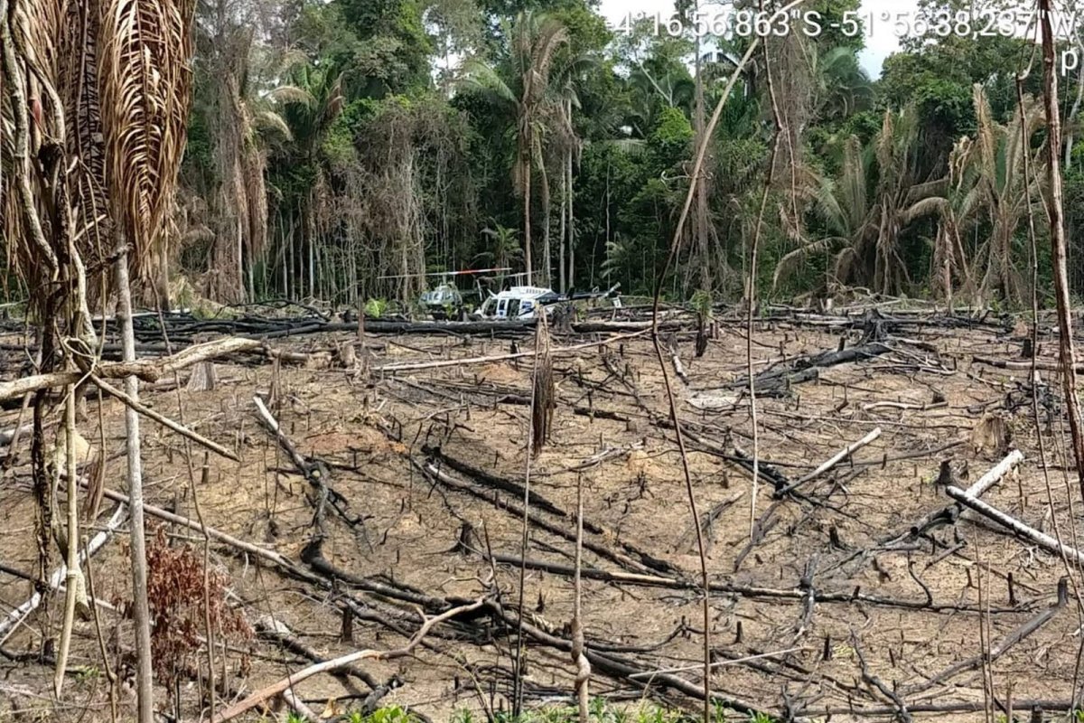 MPF recomendou destruição de equipamentos usados por grileiros em terra indígena