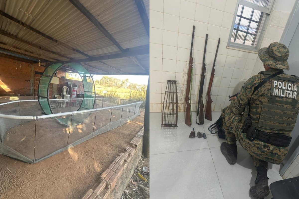 PMs desmontam rinha de galos em São Desidério; 26 animais foram resgatados