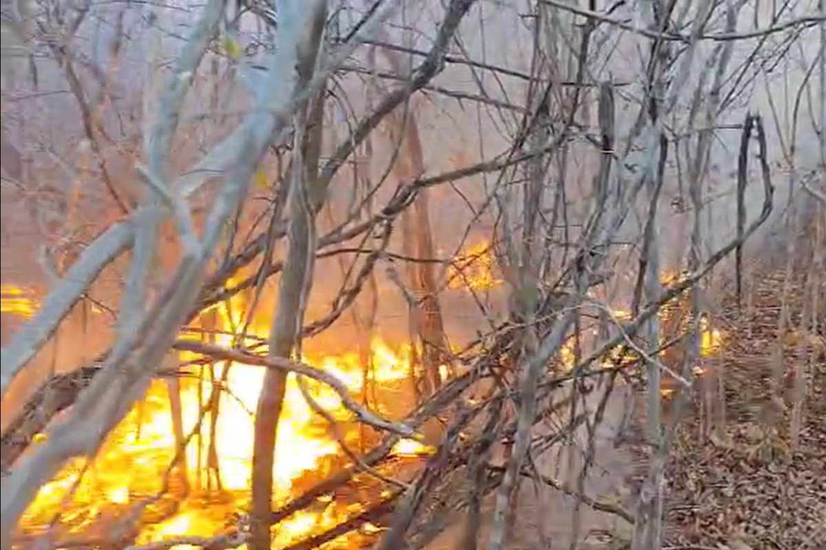 Corpo de Bombeiros combate incêndio no Oeste da Bahia