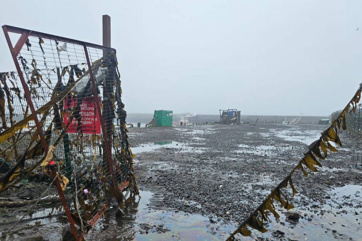 Video: Terremoto provoca tsunami na Rússia, Japão e EUA; Filipinas, Indonésia, Peru, Equador, México e Chile estão em alerta