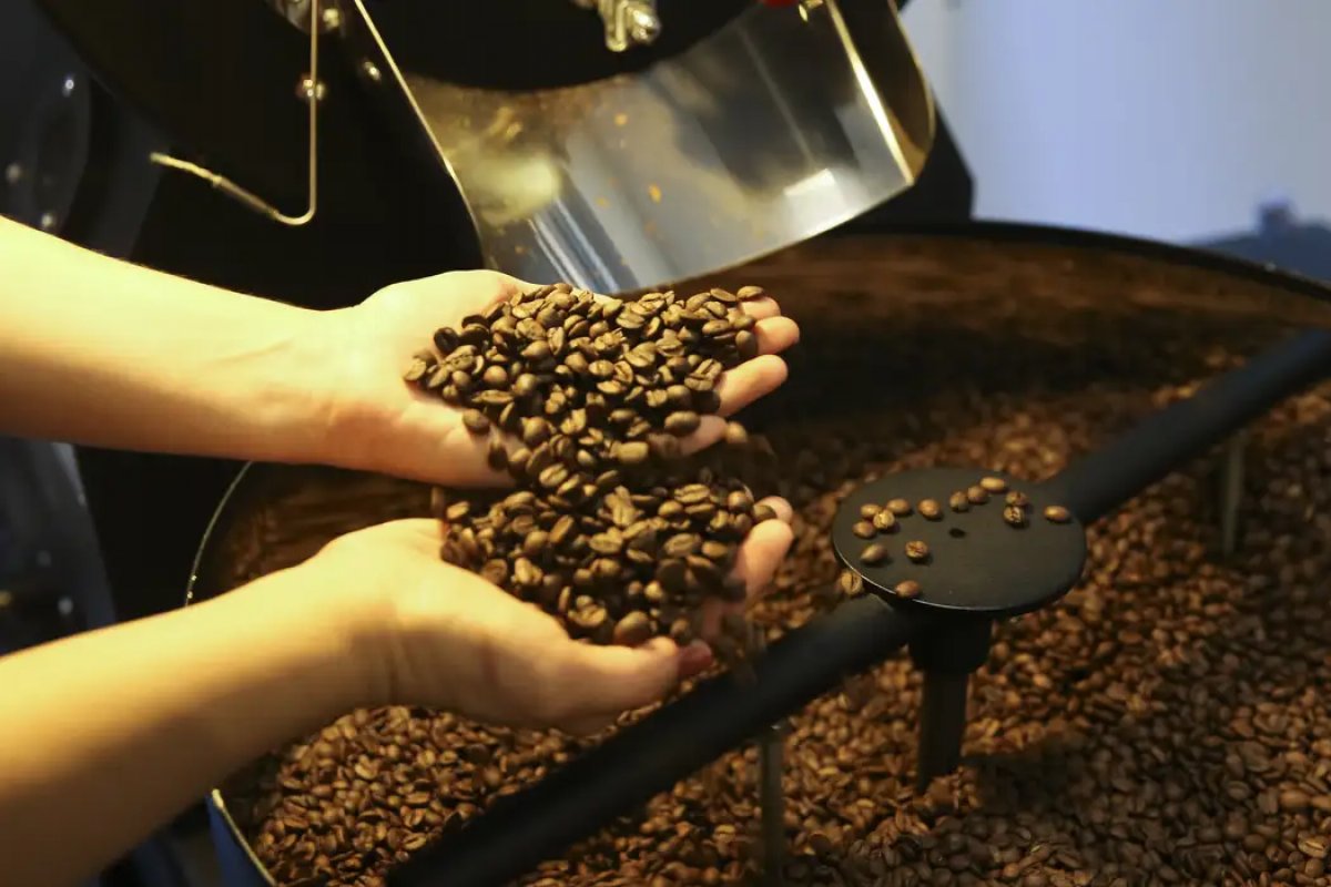 Café, manga e cacau: EUA sinalizam possível isenção de tarifa para produtos não fabricados no país