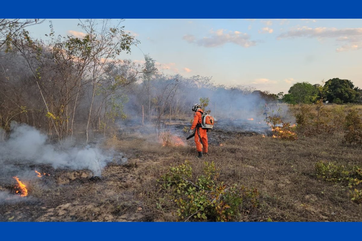 Bombeiros intensificam combate a incêndios florestais no oeste da Bahia; época é crítica para a região