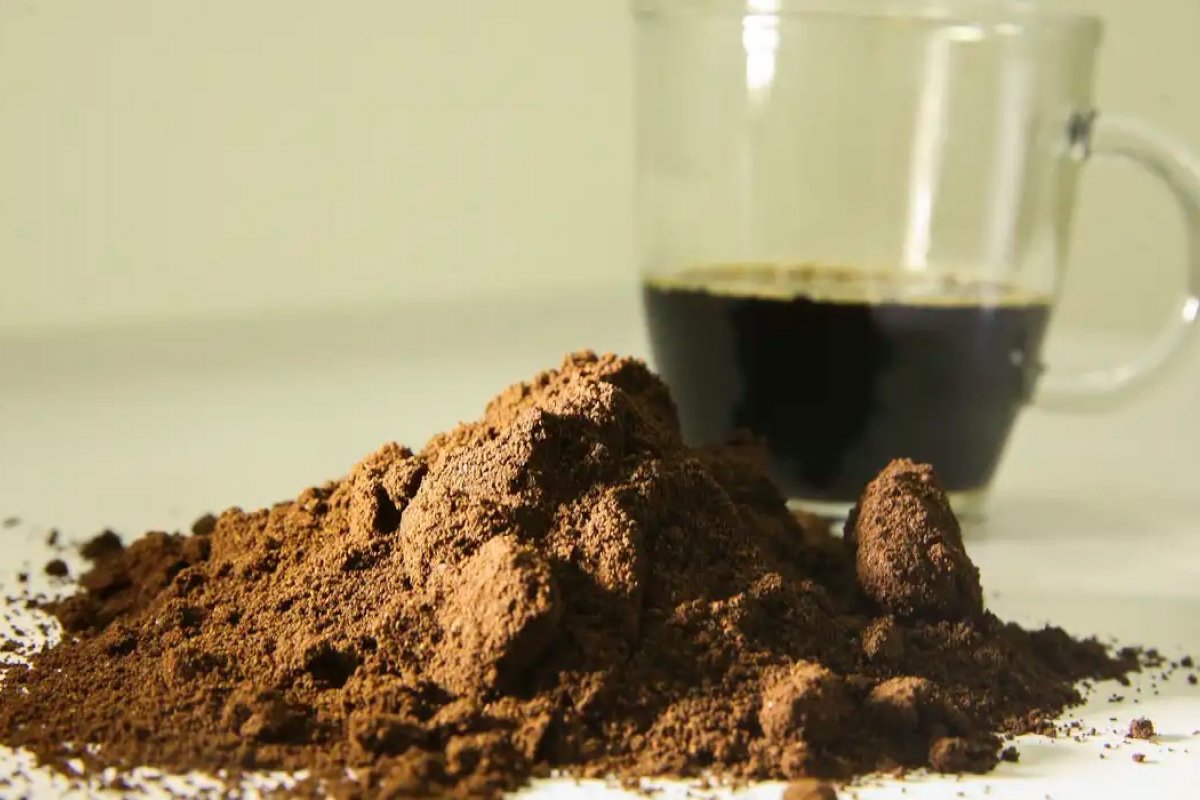 China habilita 183 empresas brasileiras para exportar café após tarifaço de Trump