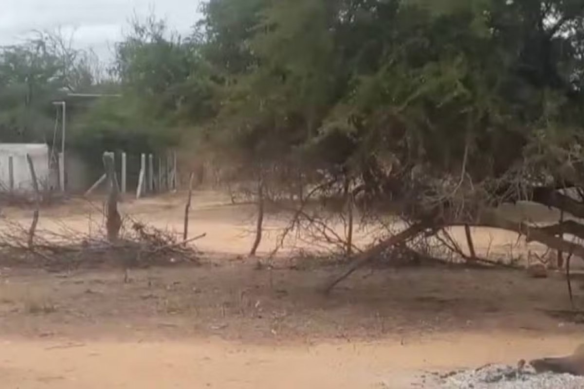 Duas pessoas da mesma família morrem eletrocutadas no norte da Bahia