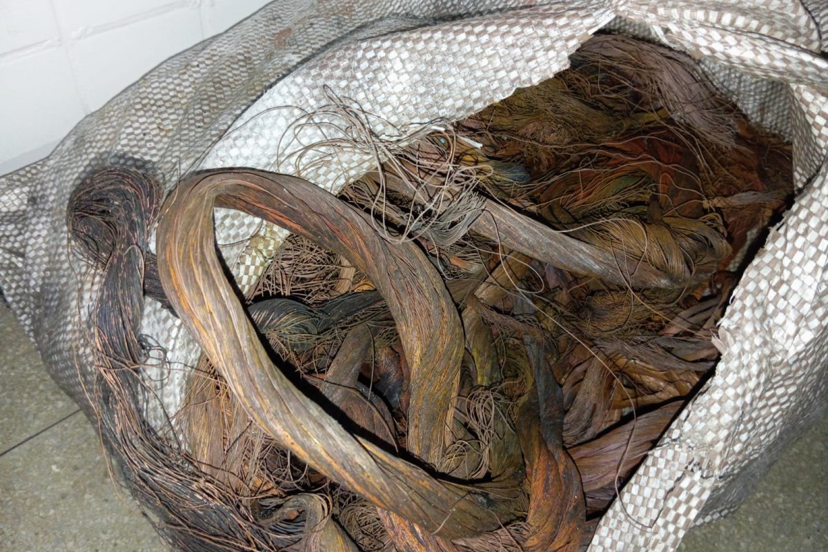 Polícia Civil deflagra operação de combate ao comércio ilegal de ilícitos em ferro-velho de Camaçari