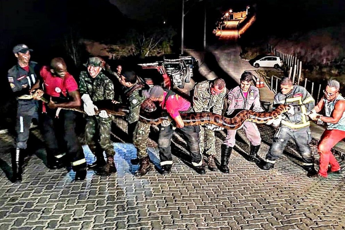 Bombeiros resgatam sucuri de 7 metros em Porto Seguro, sul da Bahia