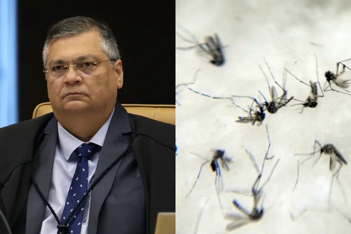 Dino garante pagamento de auxílio para vítimas do vírus Zika