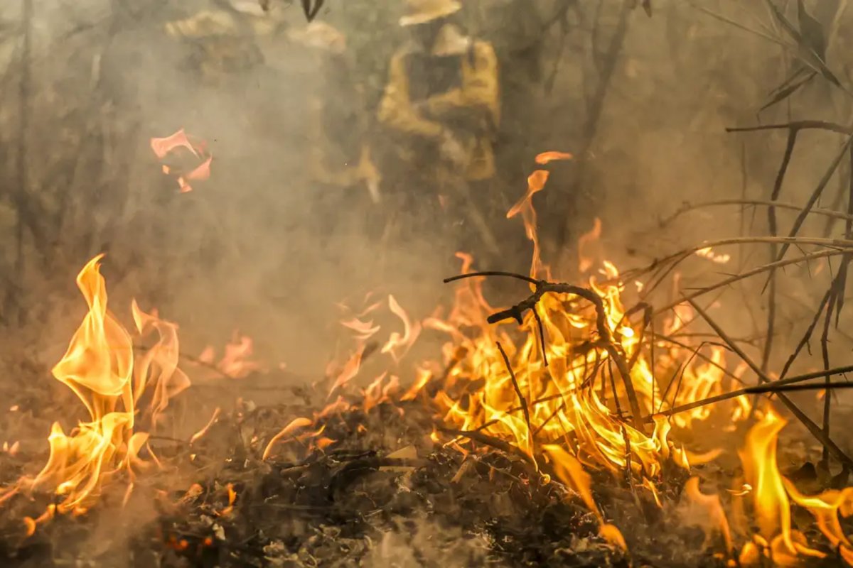 Europa enfrenta ondas de calor intensas e incêndios florestais; três pessoas já morreram