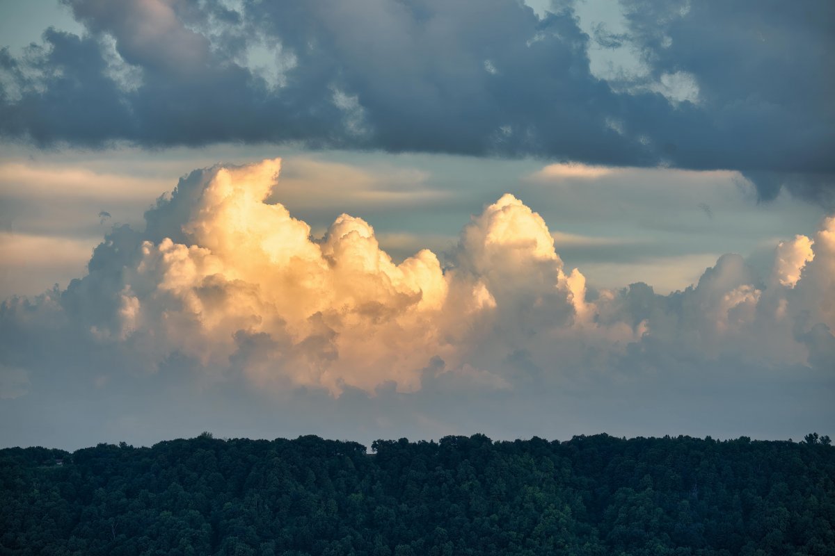 O 1% mais rico do Brasil contribui 7 vezes mais com crise climática que os 10% mais pobres, indica estudo