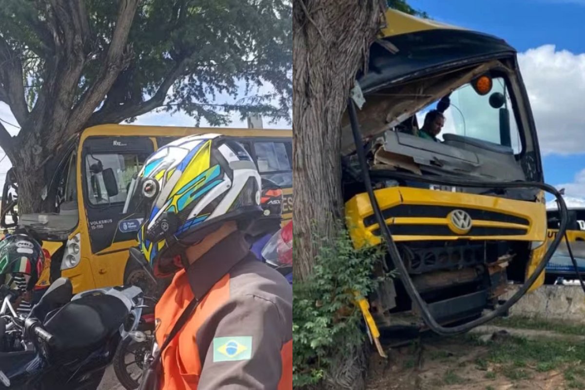Dez pessoas se feriram após batida de ônibus escolar com árvore; transporte tinha mais de 50 estudantes