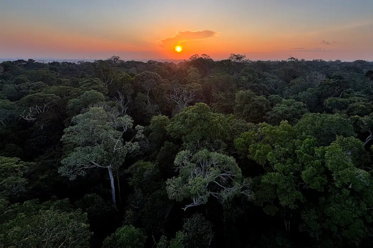 Países amazônicos defenderão fundo para preservar florestas