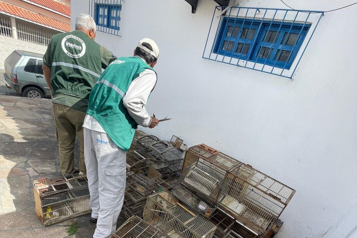 Mais de 200 pássaros são apreendidos durante operação em cidades do interior baiano