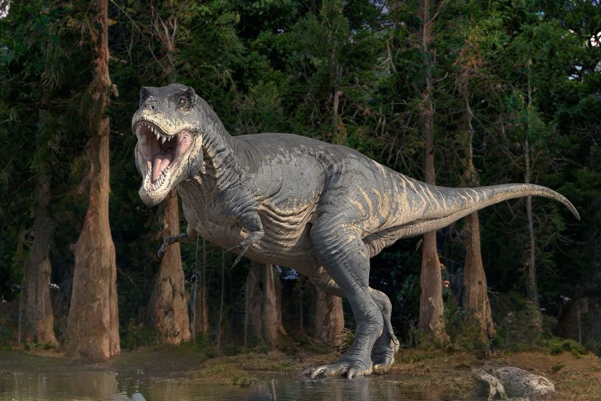 Cientistas identificam vasos sanguíneos preservados em fóssil de T. rex no Canadá