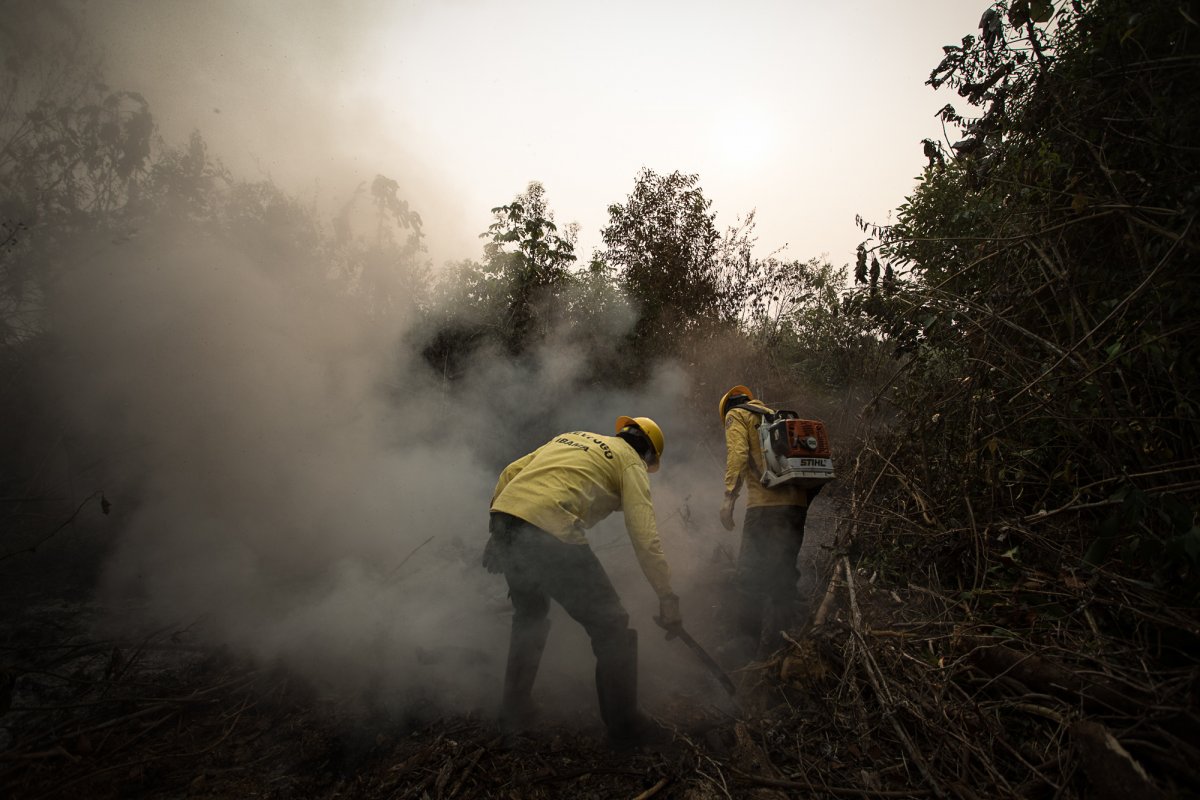 Brasil reduz queimadas e registra menor índice de focos de calor em 12 anos