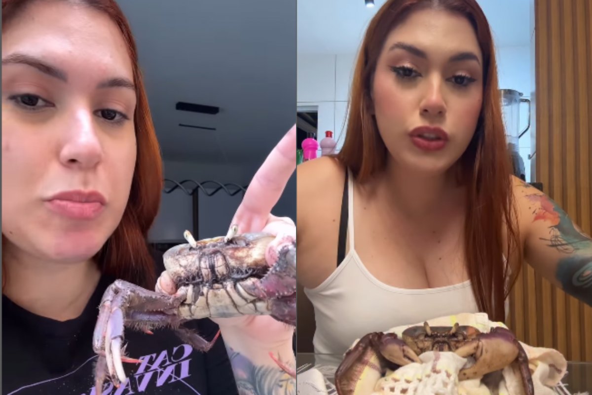 Vídeo: Caranguejo João Guilherme: Influenciadora viraliza ao compartilhar rotina com pet inusitado