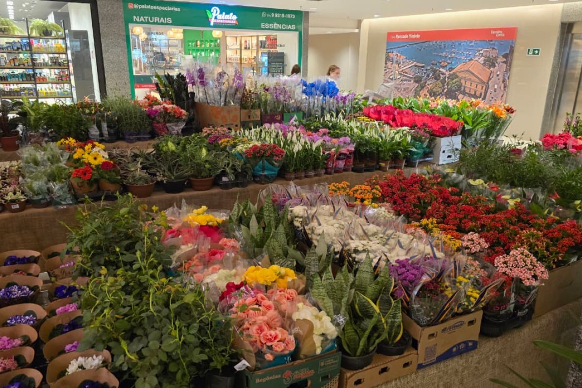 Ferreira Costa Barris recebe Feira de Holambra!