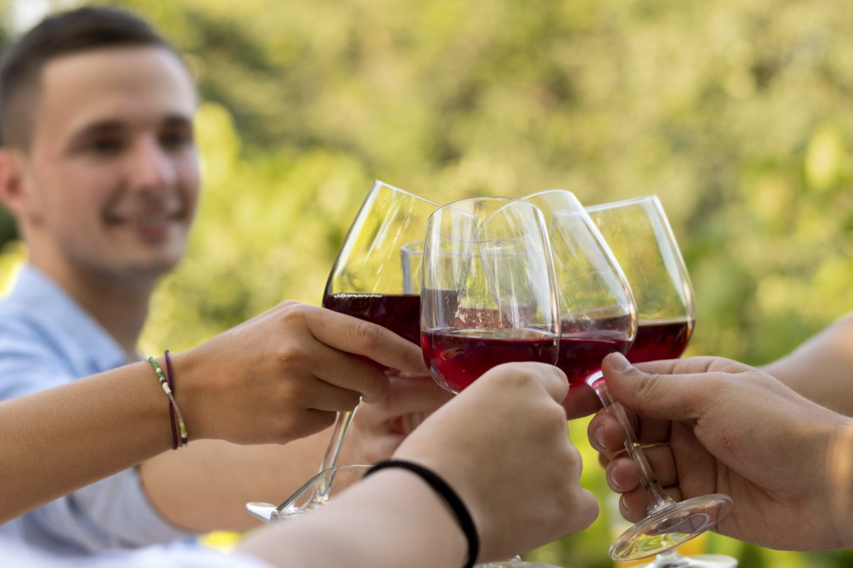 Vinícolas no Sul do Brasil chamam a atenção para o turismo que envolve vinhos, boa comida e paisagens belíssimas!