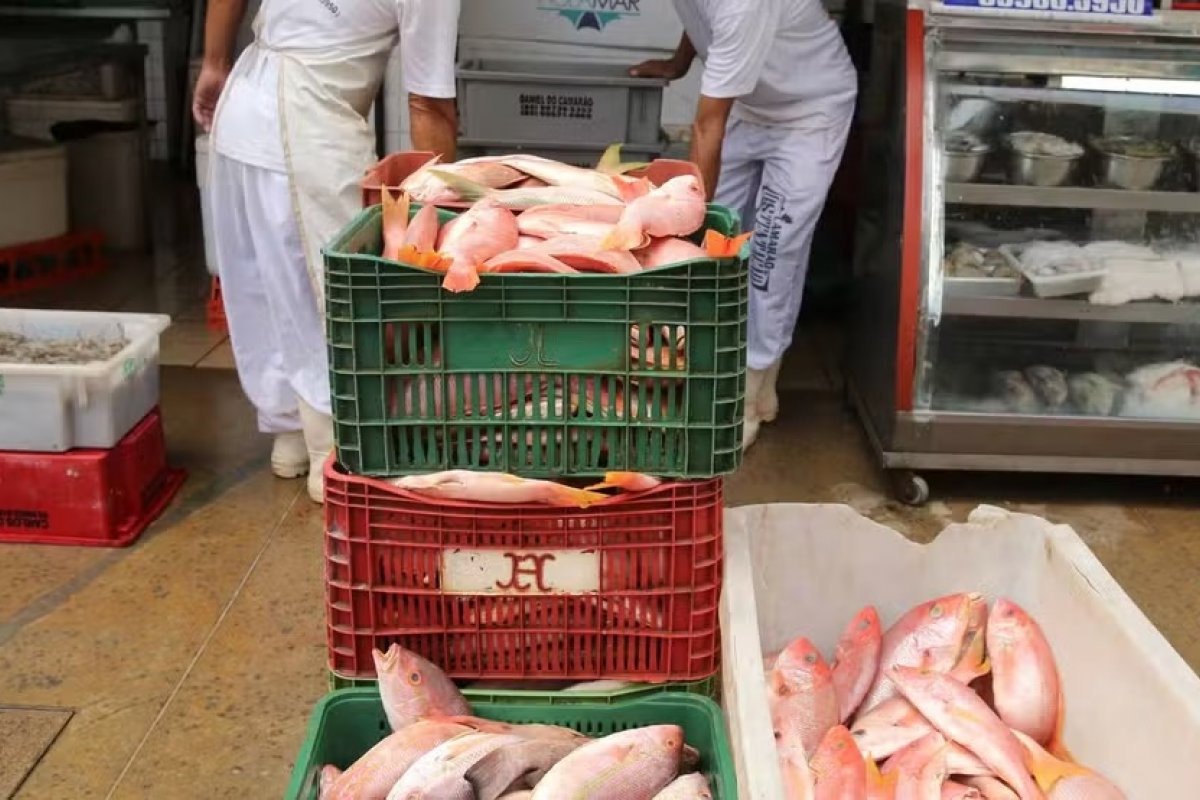 Governo do Ceará decreta emergência devido tarifaço e anuncia medidas para apoiar empresas exportadoras