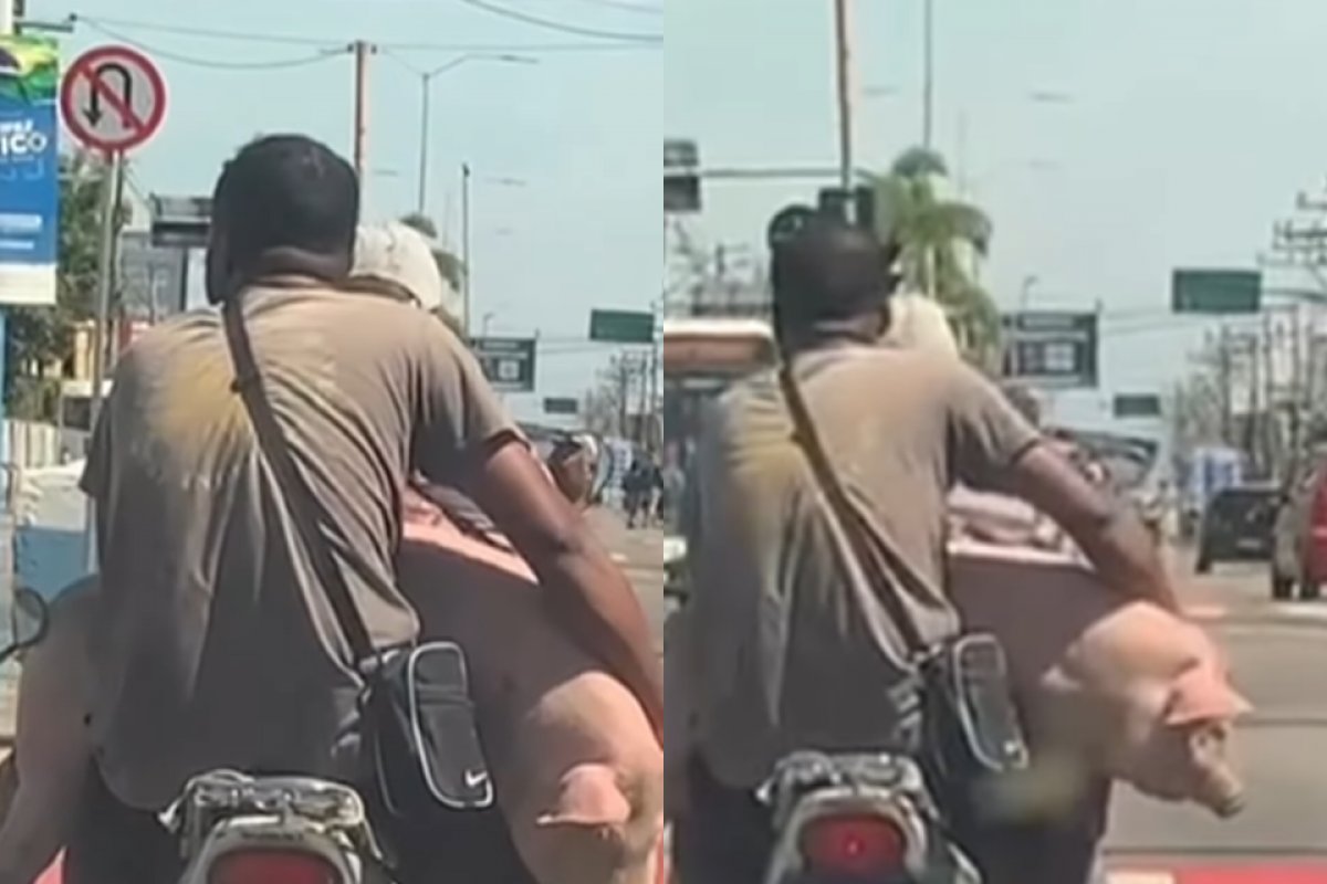 Vídeo: homens são flagrados carregando um porco vivo em uma motocicleta