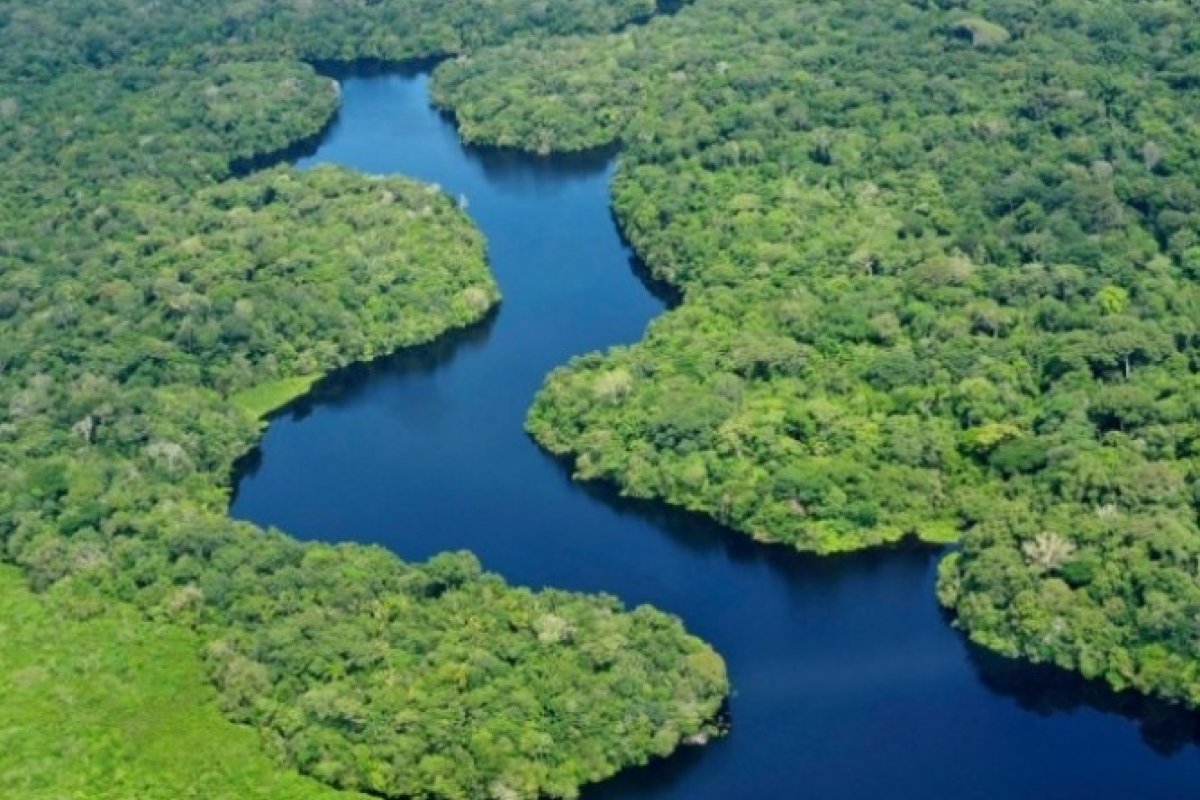 Amazônia, tema transversal 