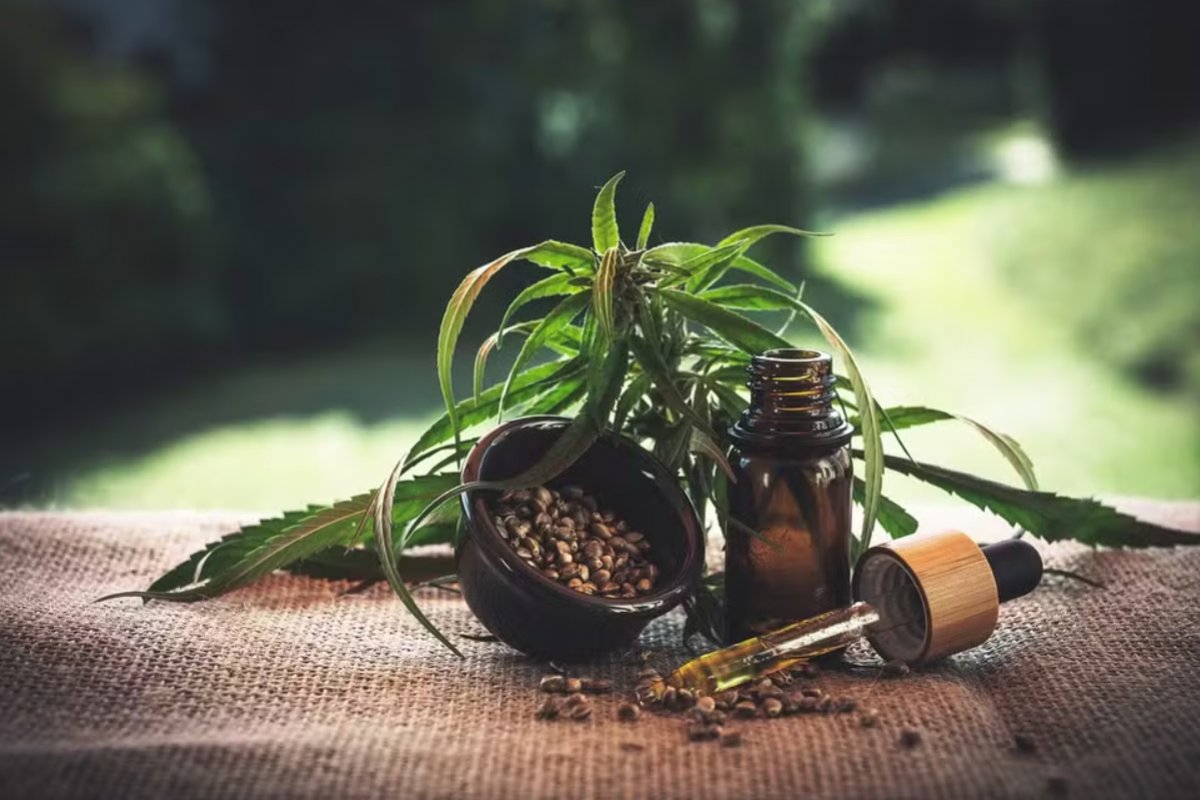Médicos que prescrevem maconha medicinal são processados pelos Conselhos Regionais de Medicina