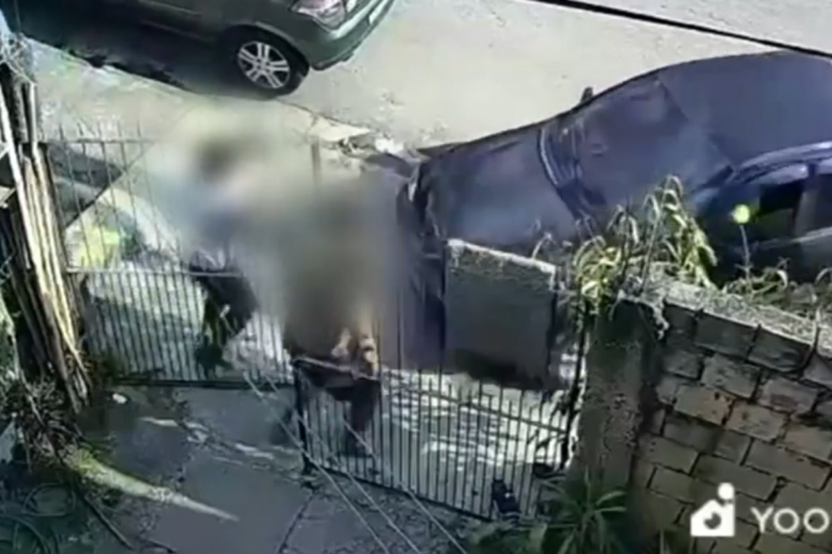 VÍDEO: homem é preso em flagrante após atropelar irmã e cunhado