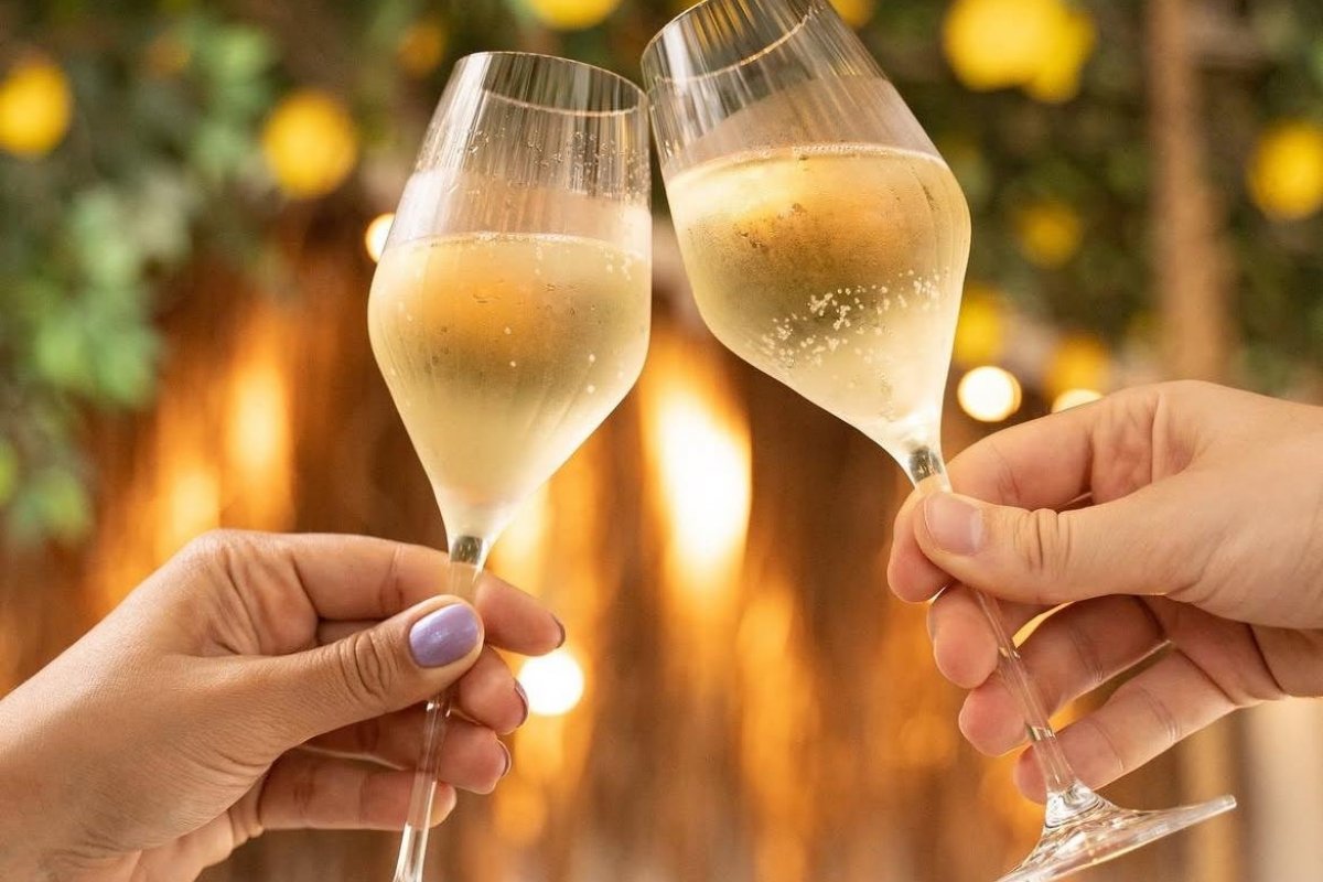 Allê Varanda Bar, Yolo Coffee Bar e Decanter promovem tarde de vinhos e ostras na capital baiana!