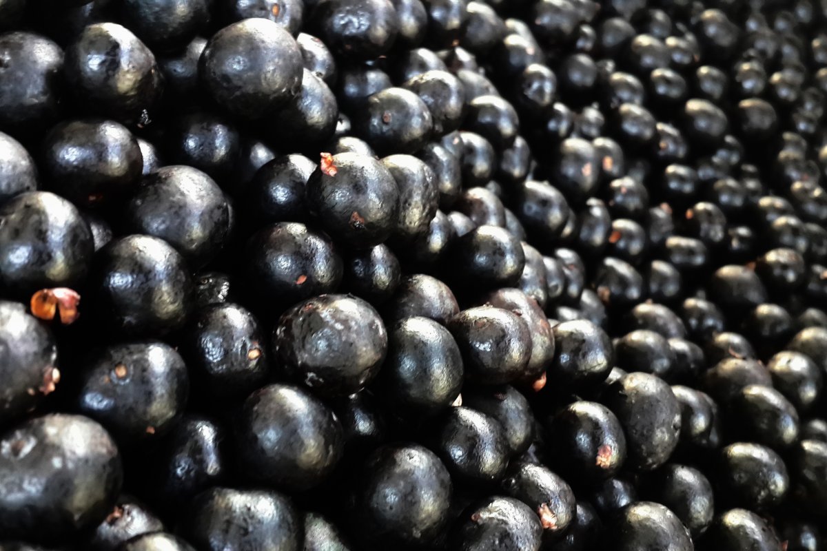 Saiba qual é a empresa líder em venda de açaí no Brasil! 
