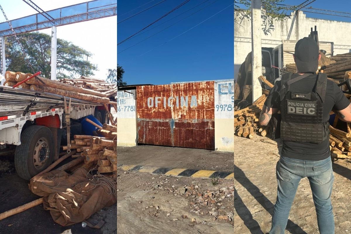 Vídeo: Três são presos em galpão clandestino na Bahia com carga roubada de eucalipto avaliada em R$220 mil