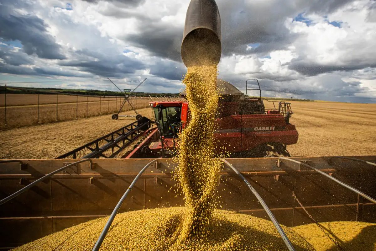 IBGE: Bahia deve colher safra recorde de grãos em 2025, com alta puxada pela soja