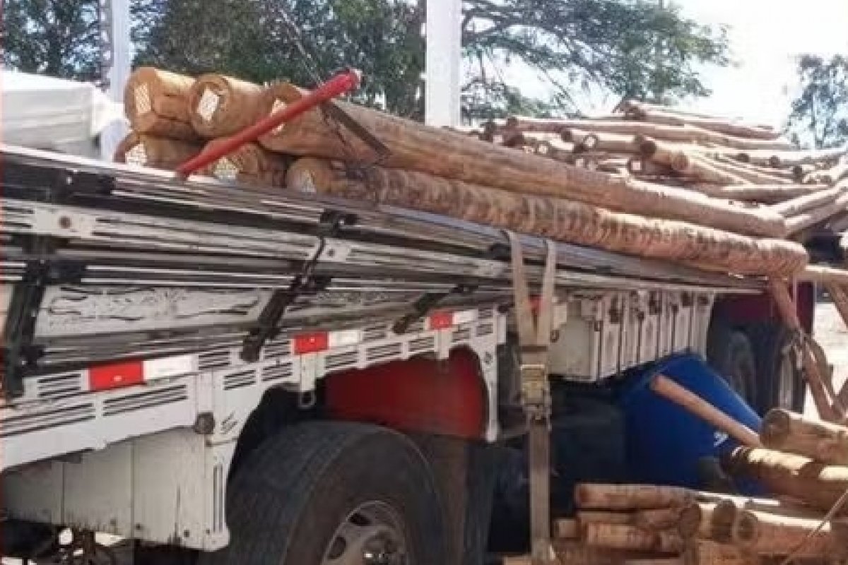 Carga de eucalipto avaliada em mais de R$ 200 mil é encontrada em galpão na Bahia