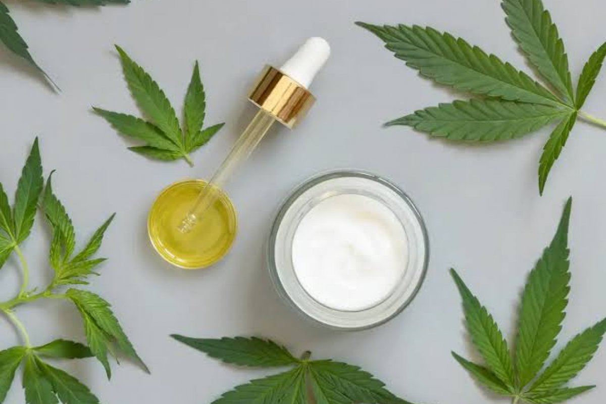 Mercado de cannabis medicinal cresce no Brasil e ganha apoio de famosos! 